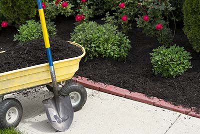 Edging and Mulching